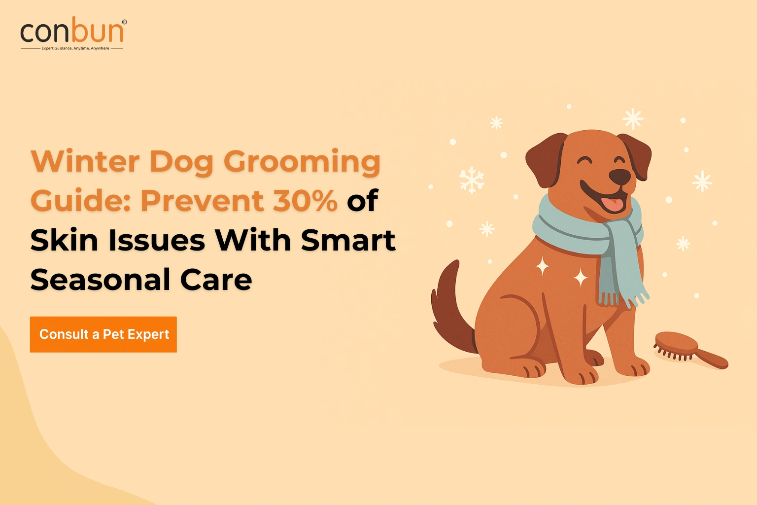 Winter Dog Grooming Guide: Prevent 30% of Skin Issues With Smart Seasonal Care